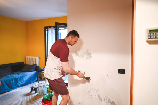 Best Residential Mold Remediation in Big Coppitt Key, FL